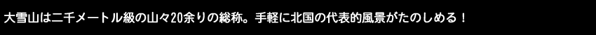大雪山は二千メートル級の山々20余りの総称、手軽に北国の代表風景がたのしめる！