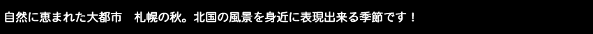 自然に恵まれた大都市の札幌の秋。北国の風景を身近に表現出来る季節です！