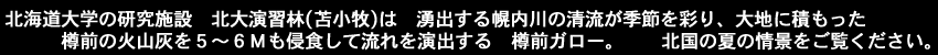 北海道大学の研究施設北大演習林(苫小牧)は湧出する幌内川の清流が季節を彩り、大地に積もった樽前の火山灰を５〜６メートルも侵食して流れを演出する　樽前ガロー。　　北国の夏の情景をご覧ください。
