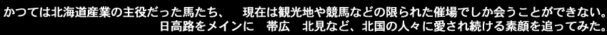 かっては北海道産業の主役だった馬たち、観光地や競馬などの限られた催場でしか会うことができない。日高路をメインに北国の人々に愛され続ける素顔を追ってみた。