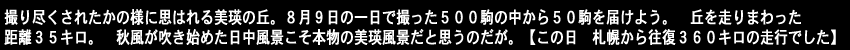 撮り尽くされたかの様に思はれる美瑛の丘。８月９日の一日で撮った５００駒の中から５０駒を届けよう。丘を走りまわった距離３５キロ。秋風が吹き始めた日中風景こそ本物の美瑛風景だと思うのだが。【この日　札幌から往復３６０キロの走行でした】