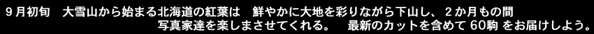 ９月初旬,大雪山から始まる北国の紅葉は　鮮やかに大地を彩りながら下山し　２か月もの間　写真家達を楽しまさせてくれる。最新のカットを含めて６０駒をお届けしよう。