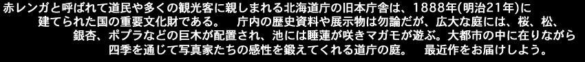 赤レンガと呼ばれて、道民や多くの観光客に親しまれる北海道庁の旧本庁舎は、1888年(明治21年)に建てられた国の重要文化財である、庁内の歴史資料や展示物は勿論だが、広大な庭には、桜、松、銀杏、ポプラなどの巨木が配置された池には睡蓮が咲きマガモが遊ぶ。大都市の中に在りながら四季を通じて写真家たちの感性を鍛えてくれる道庁の庭。最近作をお届けしよう。