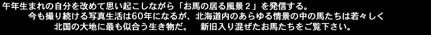 午年生まれの自分を改めて思い起こしながら、お馬のいる風景2を発信する。今も撮り続ける写真生活は60年になるが北海道内のあらゆる情景の中の馬たちは、若々しく北国の大地に最も似合う生き物だ。新旧いり混ぜたお馬たちをご覧下さい。