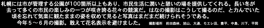 札幌には市が管理する公園が100箇所以上もあり、市民生活に潤いと憩いの場を提供してくれる、長い冬が去って多くの市民の楽しみの一つが咲き誇る花々の競演だ。はなの撮影は斯うして撮るのだ。と力んでいた頃を忘れて気楽に観たままの姿を収めて見ると写真はまだまだ続けられそうである。今年５月～６月の撮影、敢えて花名表示を避けました。撮影場所　前田森林、旭山、大通、モエレ沼、豊平、中島、川下、平岡