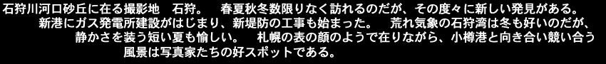 石狩川河口砂丘に在る撮影地　石狩。　春夏秋冬数限りなく訪れるのだが、その度々に新しい発見がある。新港にガス発電所建設がはじまり、新堤防の工事も始まった。荒れ気象の石狩湾は冬も好いのだが、静かさを装う短い夏も愉しい。札幌の表の顔のようで在りながら、小樽港と向き合い競い合う風景は写真家たちの好スポットである。