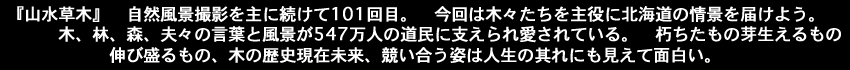 『山水草木』　自然風景撮影を主に続けて101回目。今回は木々たちを主役に北海道の情景を届けよう。木、林、森、夫々の言葉と風景が547万人の道民に支えられ愛されている。朽ちたもの芽生えるもの 　　　　　　伸び盛るもの、木の歴史現在未来、競い合う姿は人生の其れにも見えて面白い。