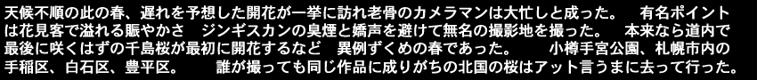 天候不順の此の春、遅れを予想した開花が一挙に訪れ老骨のカメラマンは大忙しと成った。有名ポイントは花見客で溢れる賑やかさジンギスカンの臭煙と嬌声を避けて無名の撮影地を撮った。本来なら道内で 　　最後に咲くはずの千島桜が最初に開花するなど異例ずくめの春であった小樽手宮公園、札幌市内の手稲区、白石区、豊平区。誰が撮っても同じ作品に成りがちの北国の桜はアット言うまに去って行った。