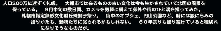 人口200万に近ずく札幌。大都市では在るものの古い文化は今も生かされていて北国の風景を保っている。9月中旬の数日間。カメラを気軽に構えて郊外や街のひと隅を撮ってみた。札幌市指定無形文化財丘珠獅子祭り。街中のオブジェ。円山公園など。時には籔にらみの撮りかたも、動物たちに叱られるかもしれない。６０年余りも撮り続けていると種切れになりそうなものだが。