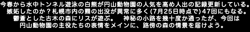 今春から水中トンネル遊泳の白熊が円山動物園の人気を高め人出の記録更新している。嫉妬したのか？札幌市内の羆の出没が異常に多く（7月25日時点で）47回にもなる。鬱蒼とした古木の森にリスが遊ぶ。　神秘の小路を幾十度か通ったが、今回、円山動物園の主役たちの表情をメインに、路傍の森の情景を届けよう。