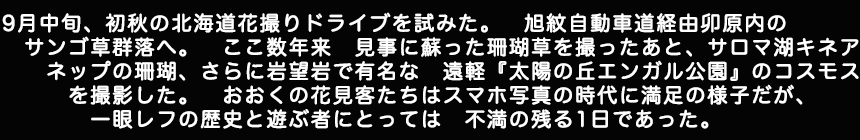 9月中旬、初秋の北海道花撮りドライブを試みた。　旭紋自動車道経由卯原内のサンゴ草群落へ。ここ数年来見事に蘇った珊瑚草を撮ったあと、サロマ湖キネアネップの珊瑚、さらに岩望岩で有名な遠軽『太陽の丘エンガル公園』のコスモスを撮影した。おおくの花見客たちはスマホ写真の時代に満足の様子だが、一眼レフの歴史と遊ぶ者にとっては　不満の残る1日であった。