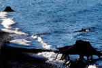 支笏湖、樽前の岸辺