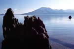 支笏湖、樽前の古木と湖