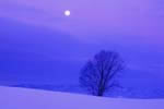 美瑛の丘の四季、冬の月