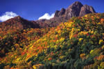 札幌の秋、天狗山の彩り