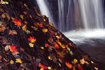札幌の秋、鱒見の滝