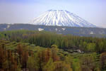 羊蹄山の四季、秀麗　赤井川村