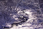 十勝の冬の物語、凍る長節川