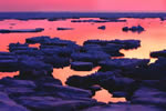 オホーツクの流氷、朱色の海