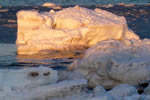 オホーツクの流氷、夕日を浴びて