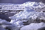 オホーツクの流氷、盛り上がる流氷