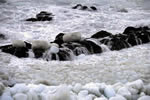 オホーツクの流氷、接岸荒れ