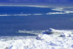 オホーツクの流氷、遠来の客能取へ