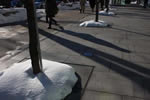 冬の札幌レポート、日差しの道