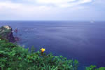 積丹半島の四季、夏の神威岬