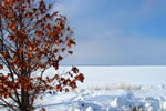 サロマ湖の四季、サロマ湖凍る