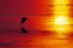 サロマ湖の四季、暮色飛行