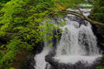 滝の情景、平和の滝