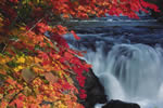 滝の情景、秋の大滝