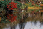 ニセコ　神仙沼の四季、神仙沼の秋