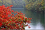 北国の紅葉、雨の支笏湖