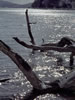 洞爺湖の風景、旭浦