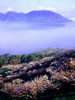 洞爺湖の風景、霧の朝