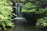 中島公園スナップ、滝