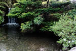 中島公園スナップ、情景