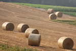 麦のある風景、麦殻ロール