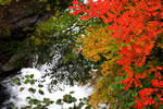 北国、秋の情景、渓谷の秋