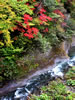 北国、秋の情景、ラルマナイ川