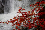 北国、秋の情景、滝の情景