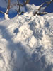 冬、札幌散歩、公園雪捨て場