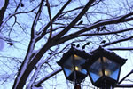 冬、札幌散歩、灯る頃