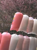 札幌の桜遊び、祭りの日