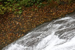 恵庭渓谷の四季、秋、流れ