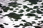 恵庭渓谷の四季、凍る恵庭湖