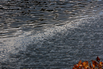 落合ダムの水景色、秋の香り
