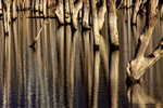 落合ダムの水景色、シニア達